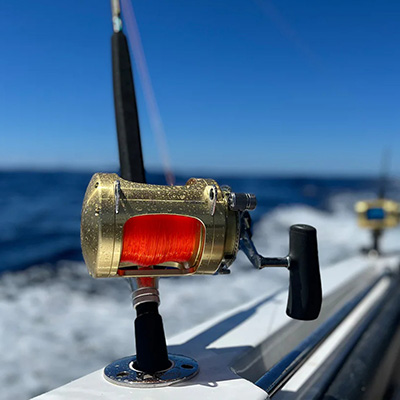 Shimano overhead fishing reel displayed during a reel maintenance and health check demonstration.